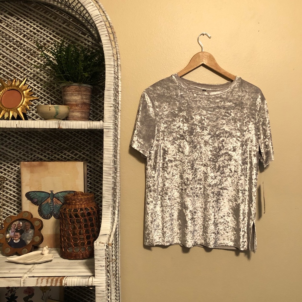 Silver Velvet Top